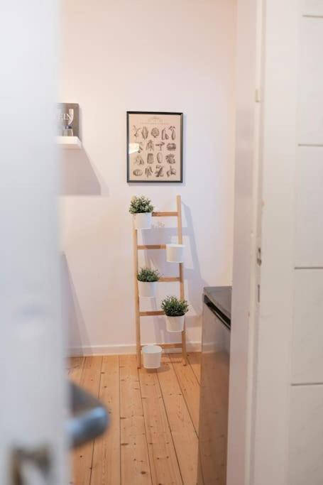 Stadtoase Design Wohnung In Der Altstadt Von Koblenz Coblenza Exterior foto